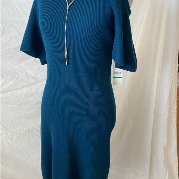 Sweeter blue dress style. Size L - Picture 1 of 11